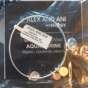 Alex and Ani - aquamarine bracelet - March bday